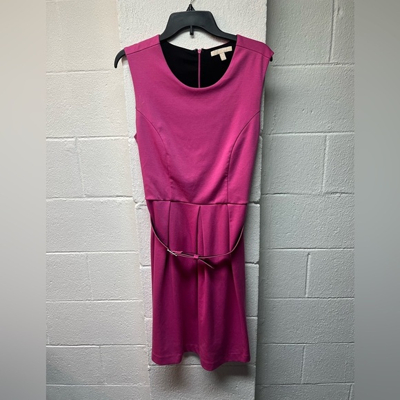 Banana Republic Elegant Pink Sleeveless Dress - Picture 1 of 4